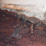 One would think the hardest part of a school bus conversion is the interior construction - but have you ever tried to deconstruct a bus? | Since We Woke Up | sincewewokeup.com