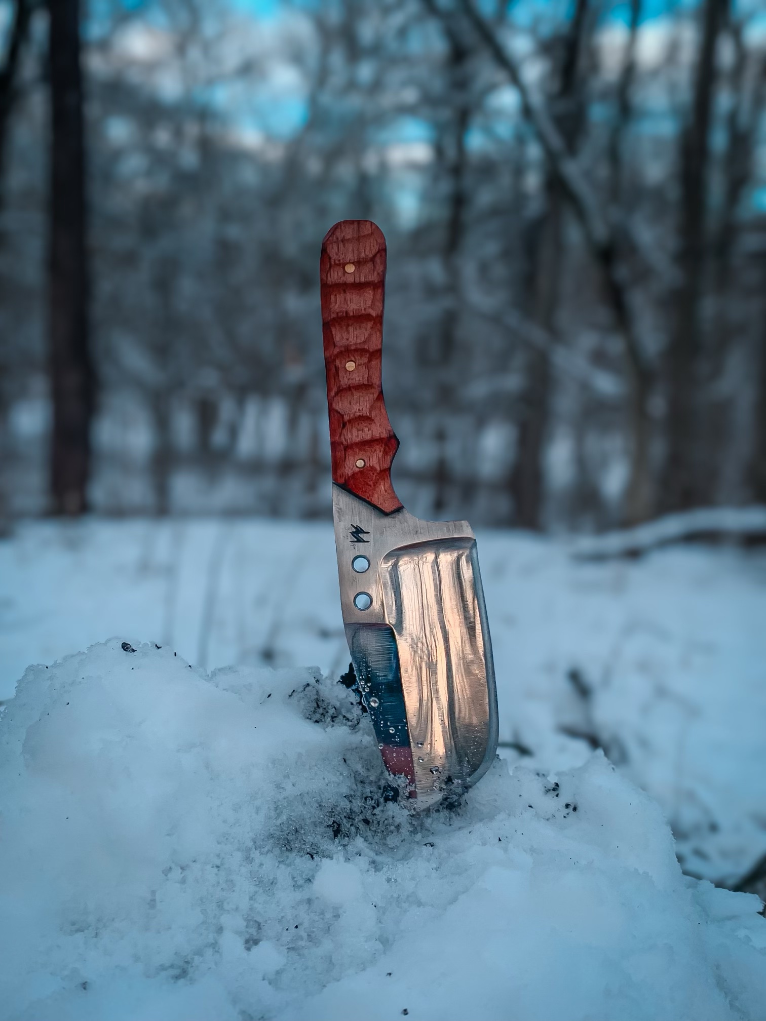 Hand-Forged Steel Knife - Charlotte